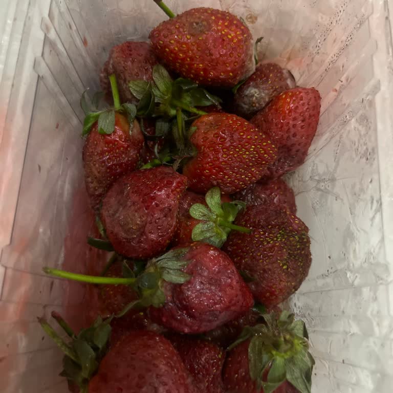 Çürük Çilekler Ve İletişimsizlik