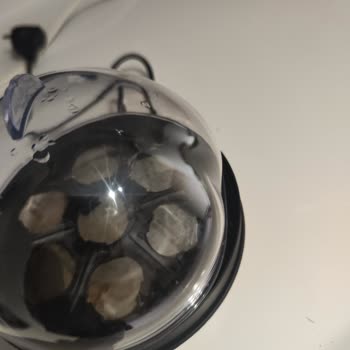 Sinbo Yumurta Pişirme Makinesi Hayal Kırıklığı