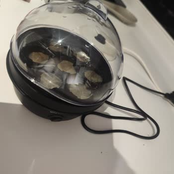 Sinbo Yumurta Pişirme Makinesi Hayal Kırıklığı
