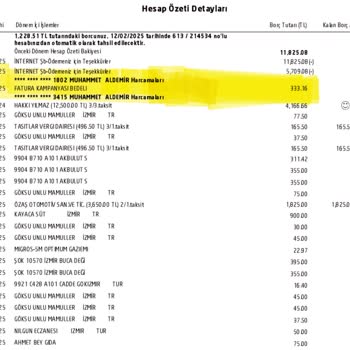 Akbank'ta Çözülmeyen Kredi Kartı Borç Sorunu