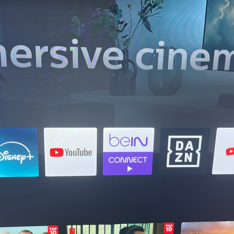 Philips TV Uygulama Eksiklikleri Ve Bein Sports Sorunu