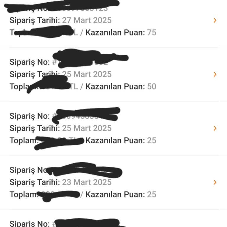 Trendyol Elite Puan Sistemi Sorunu