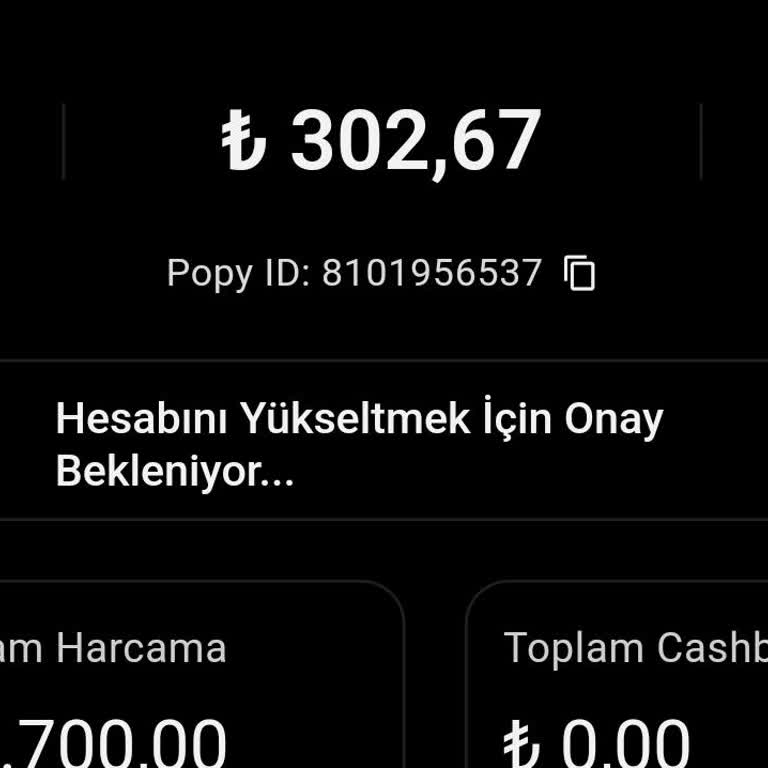 Hesap Yükseltme Onayı Beklerken Sabır Taşı Oldum!