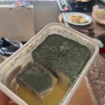 Dost Peynirde Hızlı Küf Sorunu