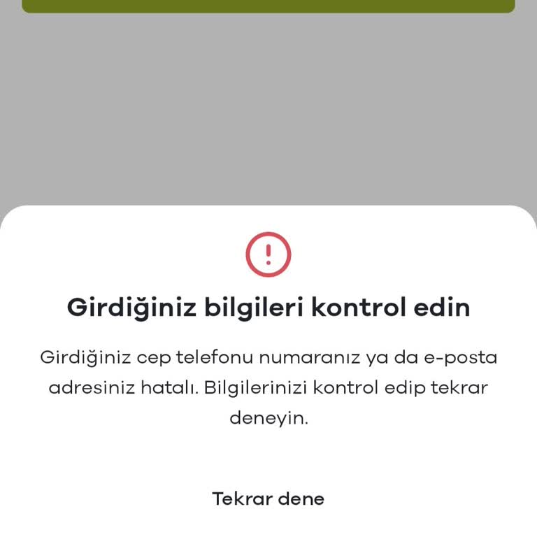 Paribu Hesabına Erişim Sorunu
