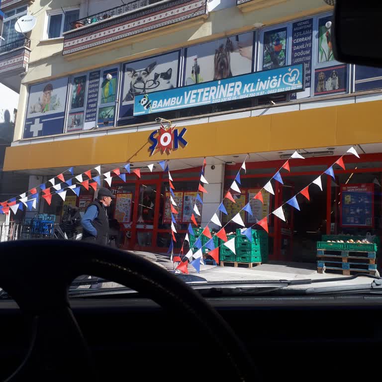 Kargom Veteriner Kliniğinde Bekliyor