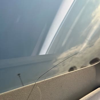 Tesla Model Y'nin Cam Tavan Sorunu Ve Servis İlgisizliği