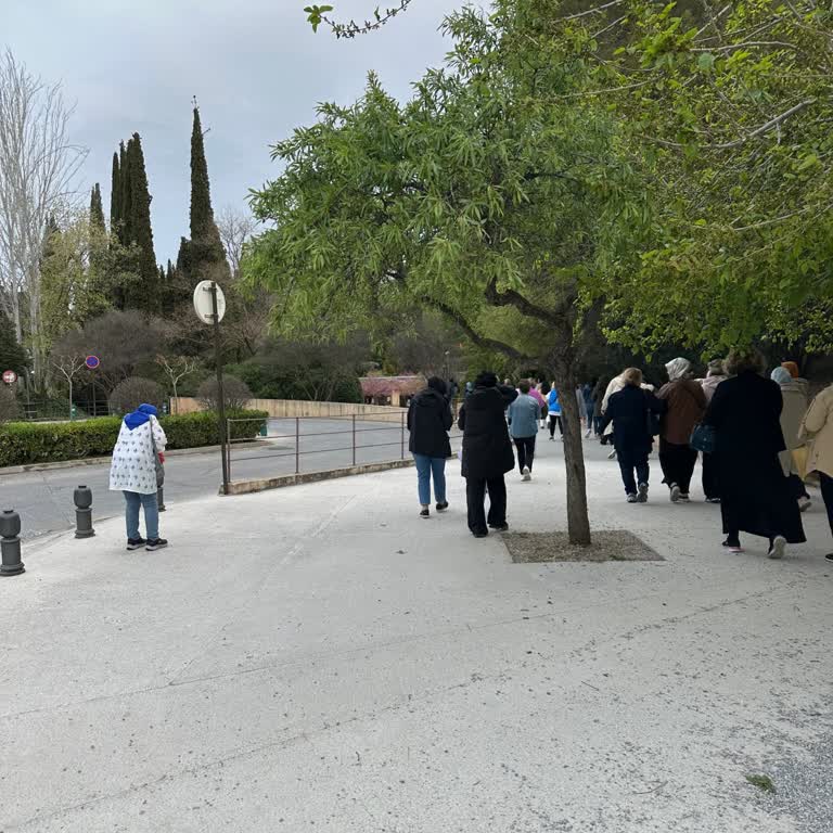 Alhambra Sarayı Turunda Bilet Krizi: Haksızlık Ve Adaletsizlik