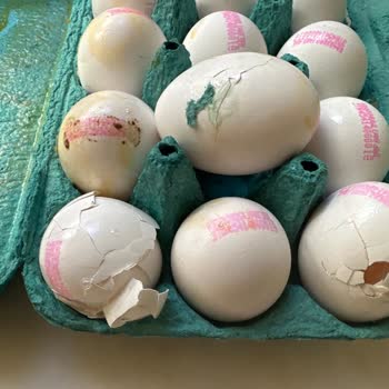 Migros Hemen Siparişlerinde Sürekli Sorun Yaşıyorum