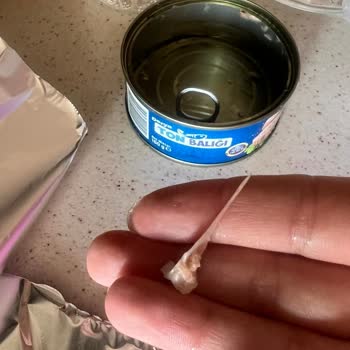 Ton Balığındaki Tehlikeli Kılçık Sorunu