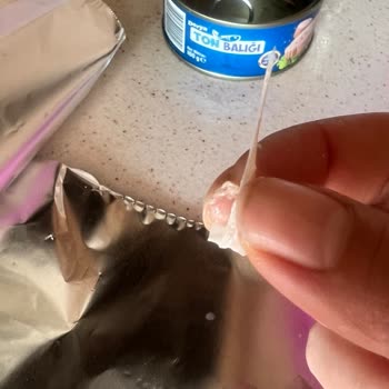 Ton Balığındaki Tehlikeli Kılçık Sorunu