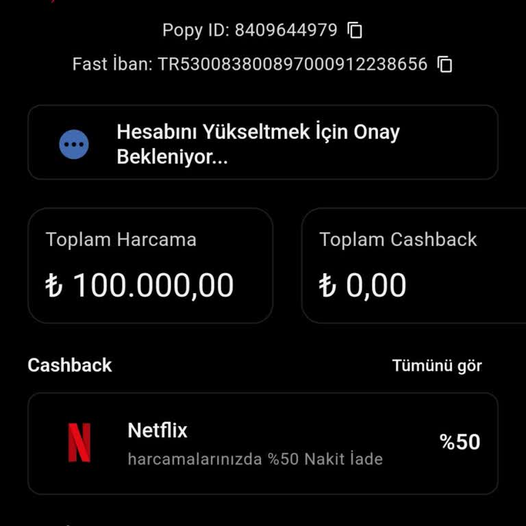 Hesap Yükseltme Ve Para Transferinde Yaşanan Sorunlar