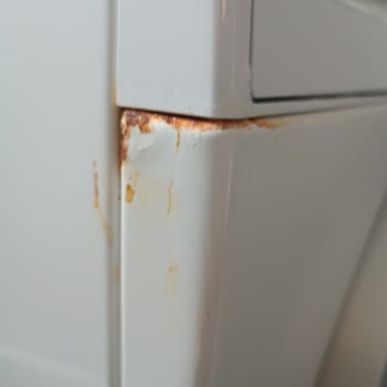 Garanti Sürecinde Bosch Çamaşır Makinesi Hayal Kırıklığı