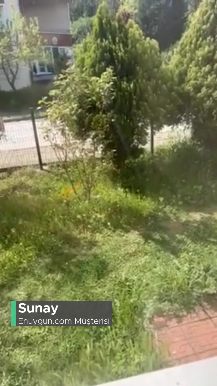 Enuygun.com Yanlışlığı Düzeltmiyor videonun kapak resmi