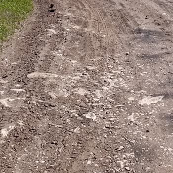Sakarya Büyükşehir Belediyesi Yol Sorunu