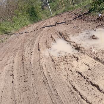 Sakarya Büyükşehir Belediyesi Yol Sorunu