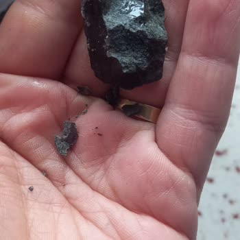 Zeytin Paketinde Şok: Kömür Çıktı!