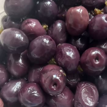 Zeytin Paketinde Şok: Kömür Çıktı!