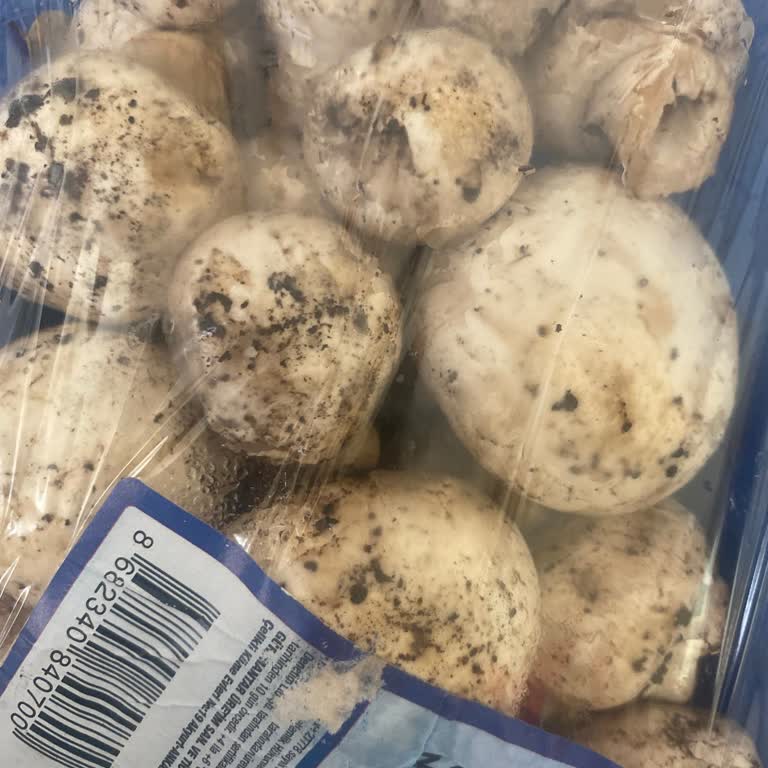 Bozuk Ürünler Ve Zehirlenme Tehlikesi