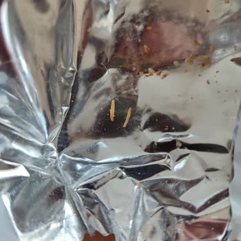 Saklıköy Bisküvisinde Sağlık Sorunu: Sert Buğday Kabuğu