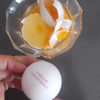 BİM'den Aldığım Yumurtalarda Şok Edici Durum