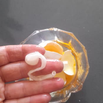 BİM'den Aldığım Yumurtalarda Şok Edici Durum