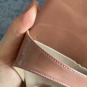 Ayakkabı Siparişi Teslimatında Gecikme Ve Hatalar