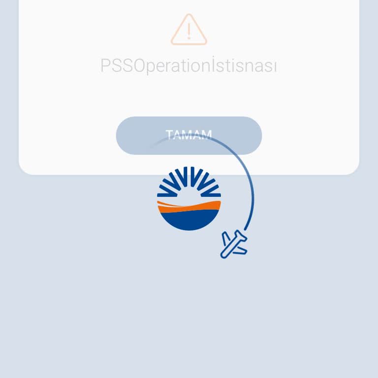 Online Check-in Sorunu Ve Müşteri Hizmetleri Yetersizliği