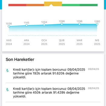 Findeks Notundaki Yanlışlık Ve Danışmanlık Paketi Satışı