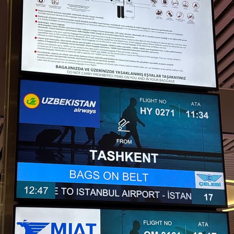 İstanbul Havalimanı'nda Bavul Bekleme Çilesi