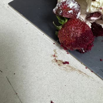 Migros'tan Aldığım Pasta Taze Değildi Ve Çürümüştü