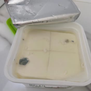 BİM'den Aldığım Peynir Küflü Çıktı