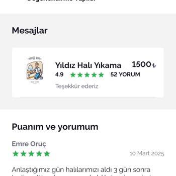 Halı Yıkama Hizmetinden Beklentilerim Karşılanmadı