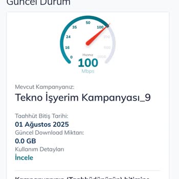 Türk Telekom'un Çözülemeyen İnternet Arızası