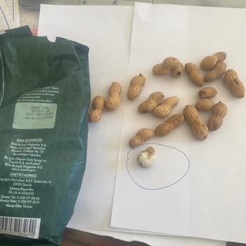 Gıda Güvenliği Skandalı: Fıstık Paketinde Salyangoz Şoku