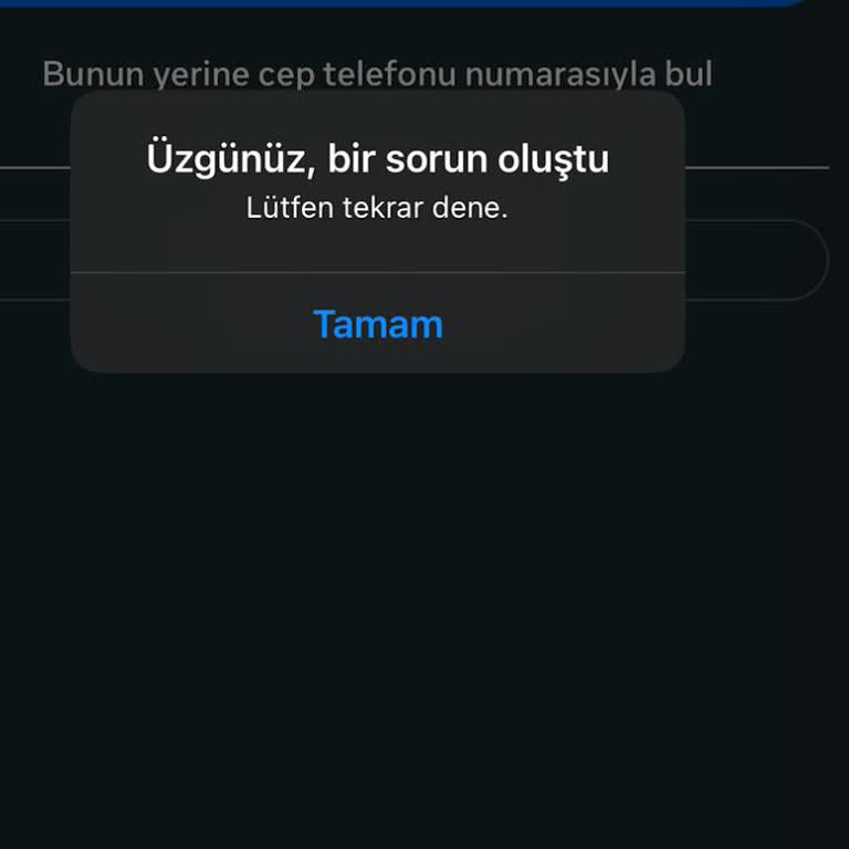 Instagram Geçici Silinen Hesaplara Erişim Sorunu