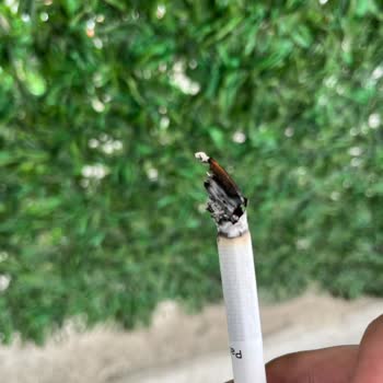 Parliament Night Blue Sigara Kalitesinde Düşüş