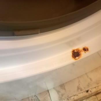 Vestel Çamaşır Makinesi: Beklenmedik Çürüme Sorunu