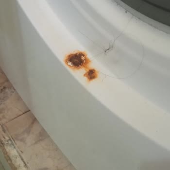 Vestel Çamaşır Makinesi: Beklenmedik Çürüme Sorunu