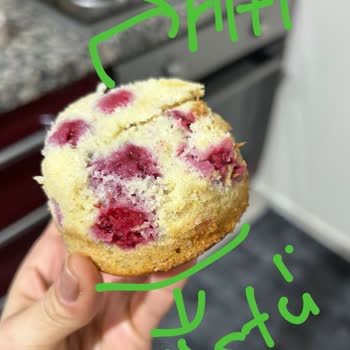 Vestel Fırın: Pişirme Sorunları Ve Yetersiz Teknik Destek