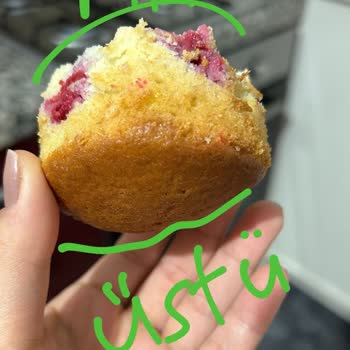 Vestel Fırın: Pişirme Sorunları Ve Yetersiz Teknik Destek