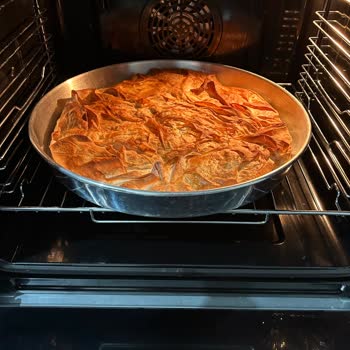 Vestel Fırın: Pişirme Sorunları Ve Yetersiz Teknik Destek