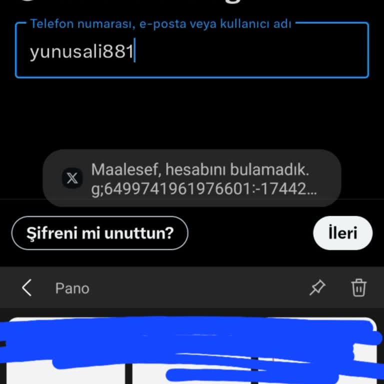 Satın Alınan Oyun Hesabına Erişim Sorunu Ve Destek Talebi