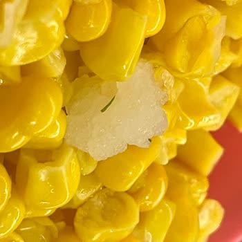 Tukaş Mısır Konservesinde Şüpheli Cisim Endişesi