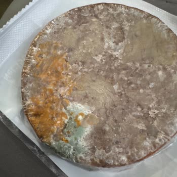 Hakmar'da Küflü Dana Kavurma Şoku: Sağlığımız Tehlikede!