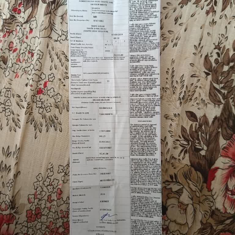 Martı Tag İle Yaşanan Hukuki Sorunlar Ve Maddi Kayıplar