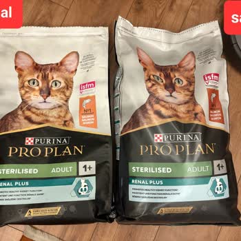 Sahte Kedi Maması Sorunu