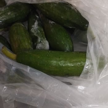 Beko Buzdolabında Sürekli Sorunlar Ve Çözüm Bulamama