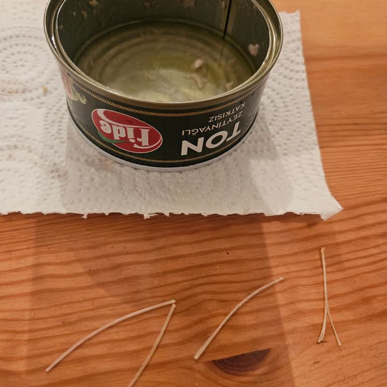 Ton Balığı Konservesinde Kılçık Sorunu