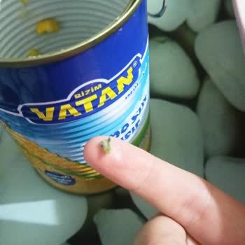 Konserve Mısırda Şok Edici Buluntu